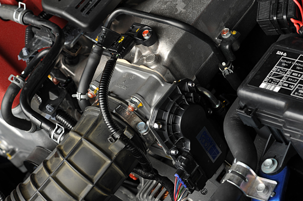 101019 2 DSC_2201.jpg